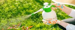 Rescue! Pest-Free Product Reviews